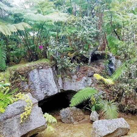 'Ama'U Lani Cottage Volcano Exterior foto