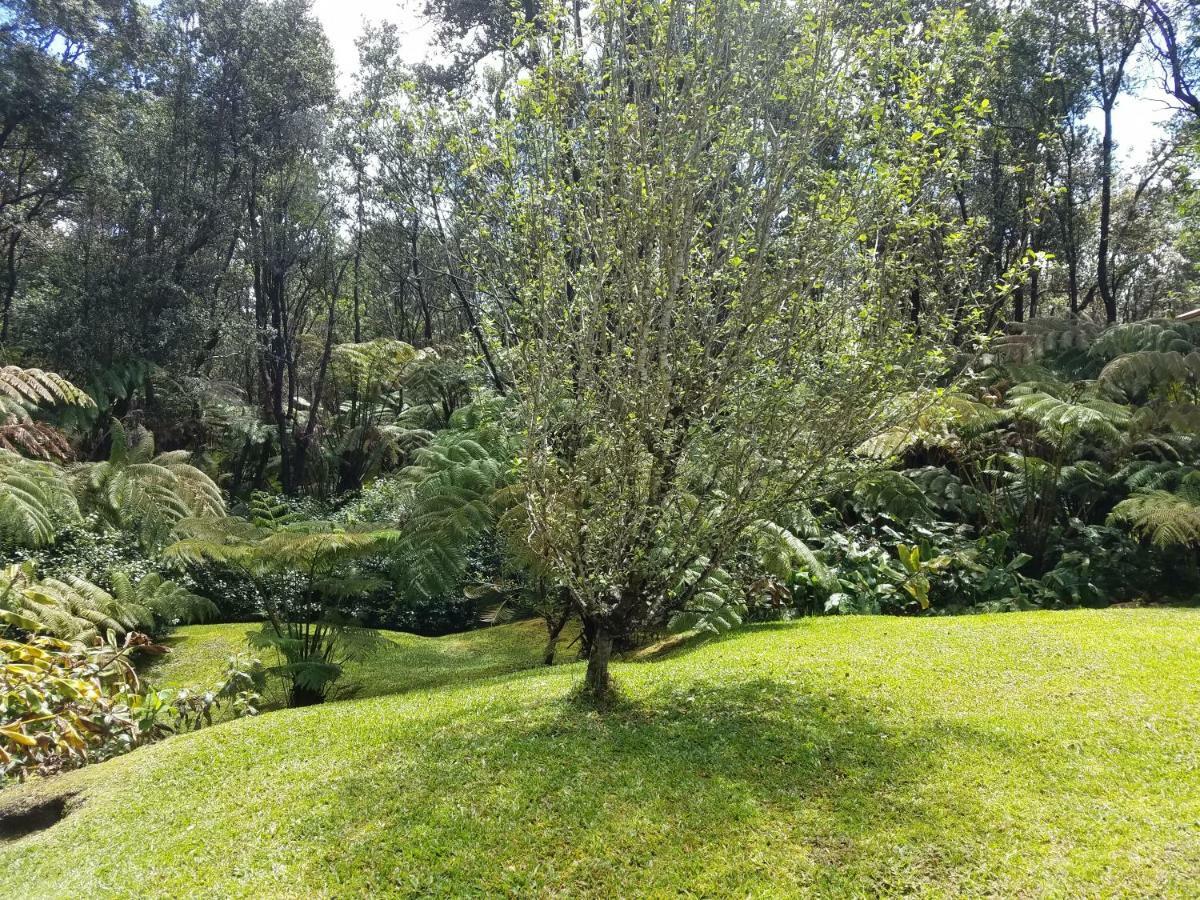 'Ama'U Lani Cottage Volcano Exterior foto